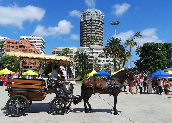 Canteras Bonamar 509 *
