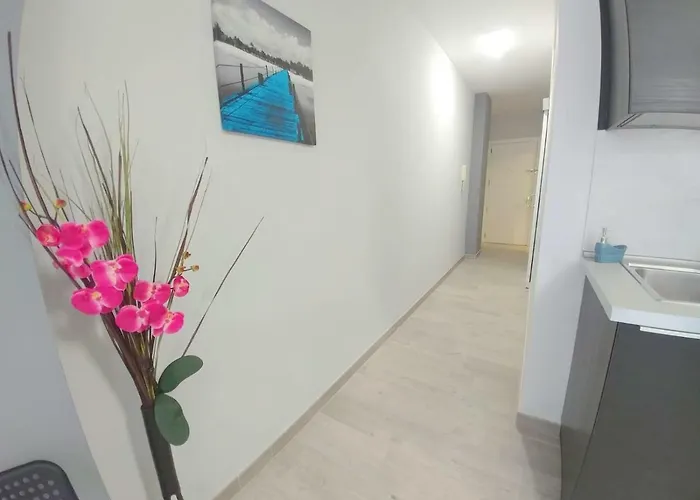 Canteras Bonamar 509 라스팔마스